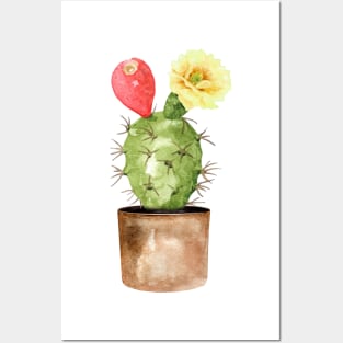 Hand painted Watercolor Cactus in Terracotta pot Posters and Art